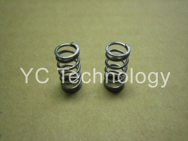 Valve Spring